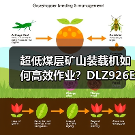 超低煤层矿山装载机如何高效作业?DLZ926E六大优势解析 超低煤层矿山装载机如何高效作业?DLZ926E六大优势解析