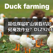 产品中心