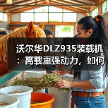 沃尔华DLZ935装载机:高载重强动力,如何提升作业效率? 沃尔华DLZ935装载机:高载重强动力,如何提升作业效率?