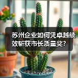 公司新闻