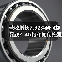 营收增长7.32%利润却暴跌？4G饱和如何拖累企业？