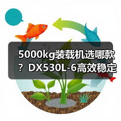 5000kg装载机选哪款?DX530L-6高效稳定性能解析 5000kg装载机选哪款?DX530L-6高效稳定性能解析