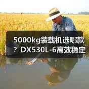 5000kg装载机选哪款?DX530L-6高效稳定性能解析 5000kg装载机选哪款?DX530L-6高效稳定性能解析