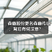 森霸股份更名森霸传感，背后有何深意？