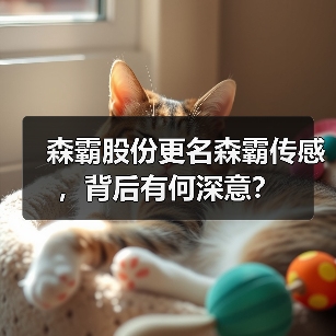 森霸股份更名森霸传感，背后有何深意？