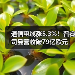 公司新闻