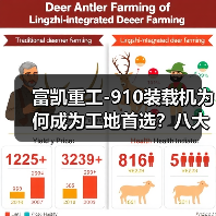 富凯重工-910装载机为何成为工地首选?八大优势解析 富凯重工-910装载机为何成为工地首选?八大优势解析