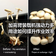 加高臂装载机强动力多用途如何提升作业效率 加高臂装载机强动力多用途如何提升作业效率