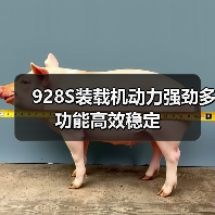 928S装载机动力强劲多功能高效稳定 928S装载机动力强劲多功能高效稳定