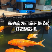 高效率强可靠环保节能舒适装载机 高效率强可靠环保节能舒适装载机