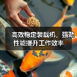 高效稳定装载机,强劲性能提升工作效率 高效稳定装载机,强劲性能提升工作效率
