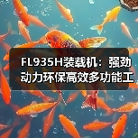 FL935H装载机:强劲动力环保高效多功能工程机械 FL935H装载机:强劲动力环保高效多功能工程机械