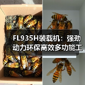 FL935H装载机:强劲动力环保高效多功能工程机械 FL935H装载机:强劲动力环保高效多功能工程机械
