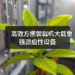 产品中心