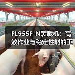 FL955F-N装载机:高效作业与稳定性能的工程利器 FL955F-N装载机:高效作业与稳定性能的工程利器