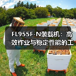 FL955F-N装载机:高效作业与稳定性能的工程利器 FL955F-N装载机:高效作业与稳定性能的工程利器