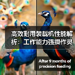 高效耐用装载机性能解析:工作能力强操作灵活 高效耐用装载机性能解析:工作能力强操作灵活