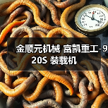 金顺元机械 富凯重工-920S 装载机 金顺元机械 富凯重工-920S 装载机